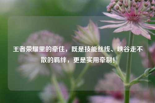 王者荣耀里的牵住,既是技能丝线、峡谷走不散的羁绊,更是实用牵制!