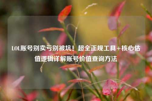 LOL账号别卖亏别被坑!超全正规工具+核心估值逻辑详解账号价值查询