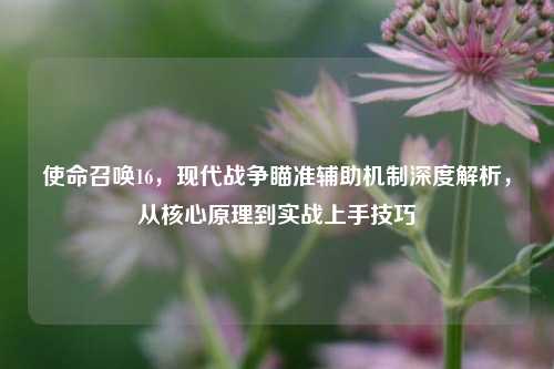 使命召唤16,现代战争瞄准辅助机制深度解析,从核心原理到实战上手技巧
