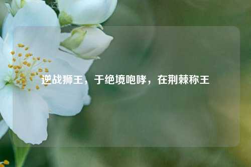 逆战狮王,于绝境咆哮,在荆棘称王