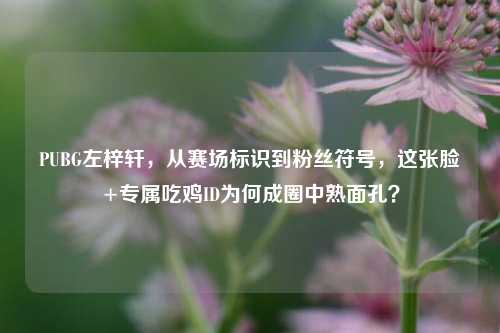 PUBG左梓轩,从赛场标识到粉丝符号,这张脸+专属吃鸡ID为何成圈中熟面孔?