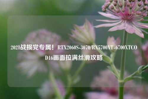 2021战损党专属!RTX2060S-3070/RX5700XT-6700XTCOD16画面拉满丝滑攻略