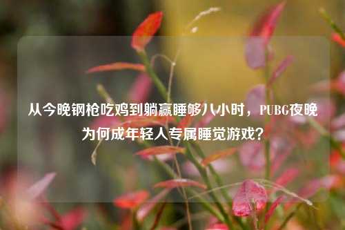 从今晚钢枪吃鸡到躺赢睡够八小时,PUBG夜晚为何成年轻人专属睡觉游戏?