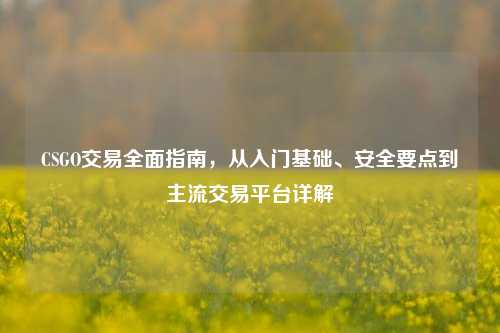 CSGO交易全面指南,从入门基础、安全要点到主流交易平台详解