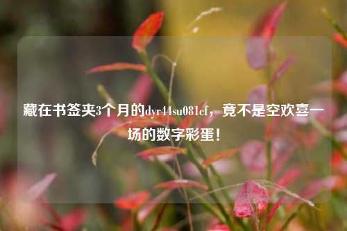 藏在书签夹3个月的dyr44su081cf,竟不是空欢喜一场的数字彩蛋!