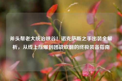 斧头帮老大统治峡谷!诺克萨斯之手出装全解析,从线上压爆到团战砍翻的终极装备指南