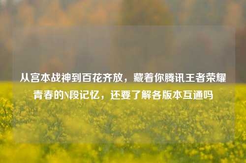 从宫本战神到百花齐放,藏着你腾讯王者荣耀青春的N段记忆,还要了解各版本互通吗