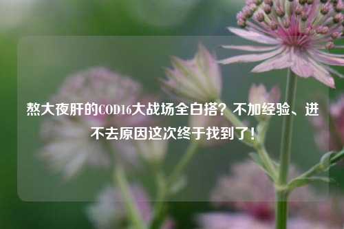 熬大夜肝的COD16大战场全白搭?不加经验、进不去原因这次终于找到了!