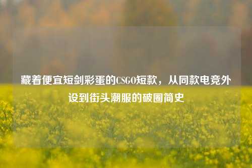 藏着便宜短剑彩蛋的CSGO短款,从同款电竞外设到街头潮服的破圈简史