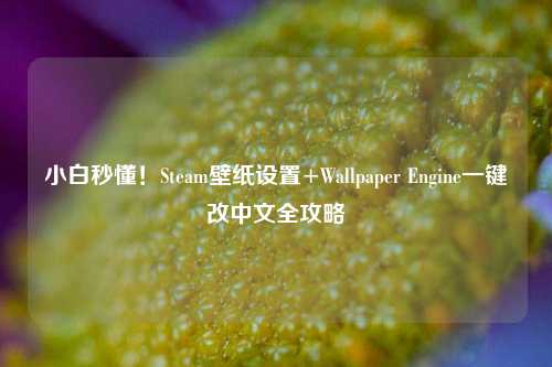 小白秒懂!Steam壁纸设置+Wallpaper Engine一键改中文全攻略