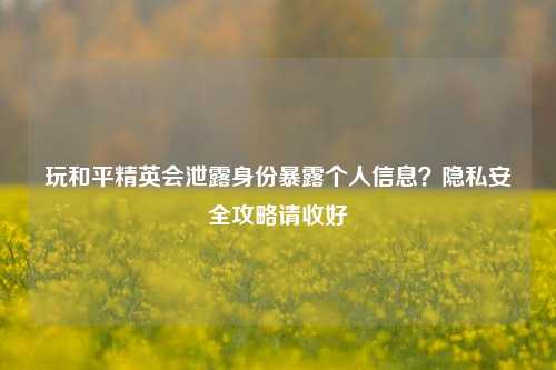 玩和平精英会泄露身份暴露个人信息?隐私安全攻略请收好