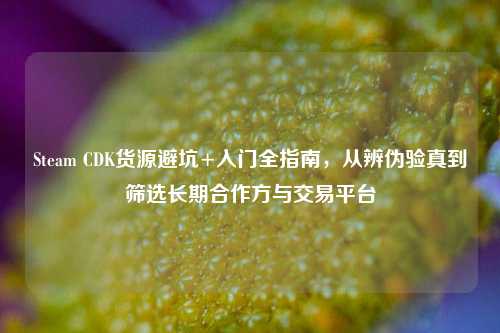 Steam CDK货源避坑+入门全指南,从辨伪验真到筛选长期合作方与交易平台