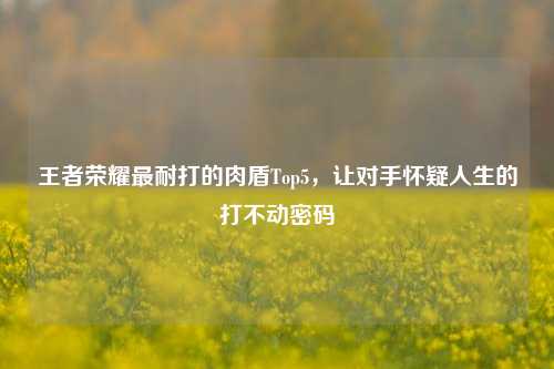 王者荣耀最耐打的肉盾Top5,让对手怀疑人生的打不动密码