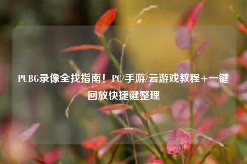 PUBG录像全找指南!PC/手游/云游戏教程+一键回放快捷键整理