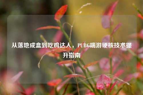 从落地成盒到吃鸡达人,PUBG端游硬核技术提升指南