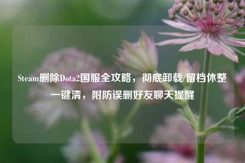 Steam删除Dota2国服全攻略,彻底卸载/留档休整一键清,附防误删好友聊天提醒