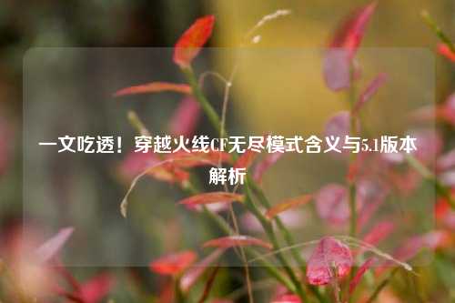 一文吃透!穿越火线CF无尽模式含义与5.1版本解析