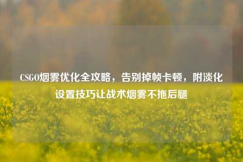 CSGO烟雾优化全攻略,告别掉帧卡顿,附淡化设置技巧让战术烟雾不拖后腿