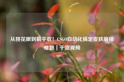 从挑花眼到躺平收!CSGO自动化搞定皮肤磨损难题|干货视频
