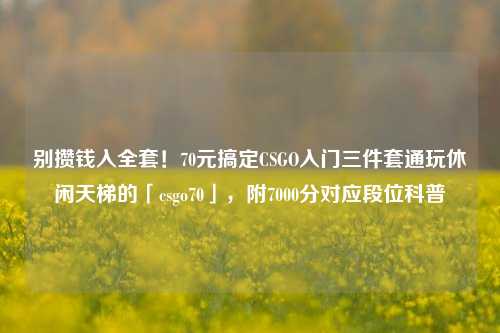 别攒钱入 !70元搞定CSGO入门三件套通玩休闲天梯的「csgo70」,附7000分对应段位科普