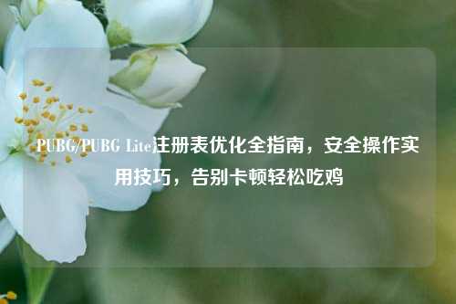 PUBG/PUBG Lite注册表优化全指南,安全操作实用技巧,告别卡顿轻松吃鸡