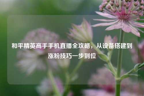 和平精英高手手机直播全攻略,从设备搭建到涨粉技巧一步到位