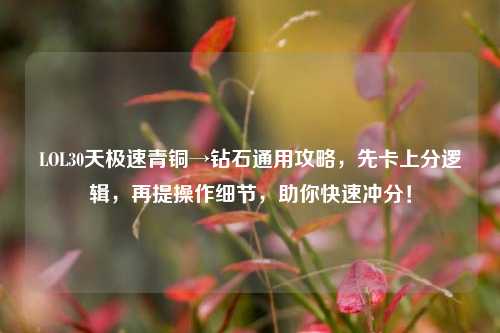 LOL30天极速青铜→钻石通用攻略,先卡上分逻辑,再提操作细节,助你快速冲分!