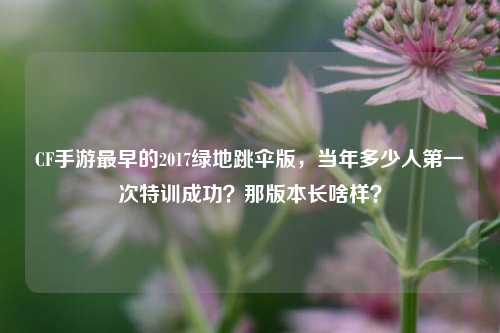 CF手游最早的2017绿地跳伞版,当年多少人之一次特训成功?那版本长啥样?