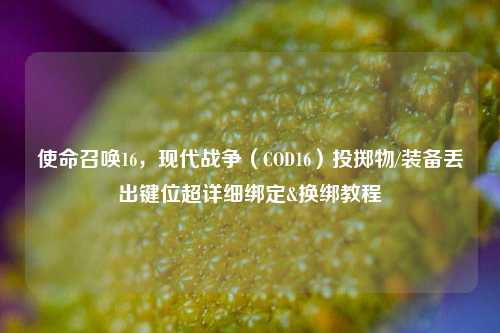 使命召唤16,现代战争(COD16)投掷物/装备丢出键位超详细绑定&换绑教程