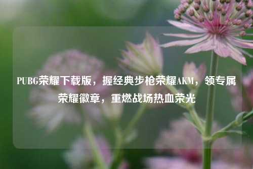 PUBG荣耀下载版,握经典步枪荣耀AKM,领专属荣耀徽章,重燃战场热血荣光