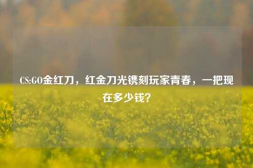 CS:GO金红刀,红金刀光镌刻玩家青春,一把现在多少钱?