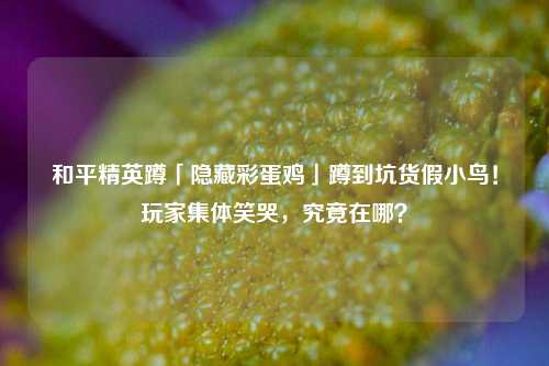和平精英蹲「隐藏彩蛋鸡」蹲到坑货假小鸟!玩家集体笑哭,究竟在哪?