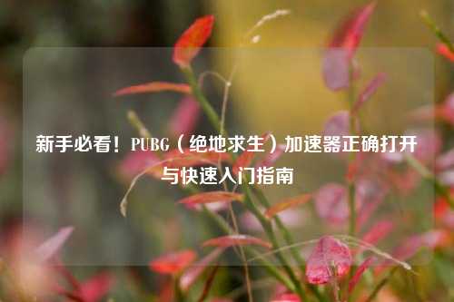 新手必看!PUBG(绝地求生)加速器正确打开与快速入门指南