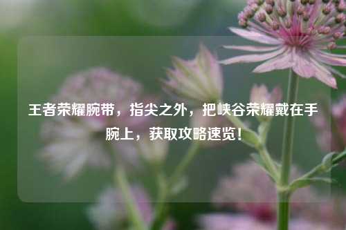 王者荣耀腕带,指尖之外,把峡谷荣耀戴在手腕上,获取攻略速览!