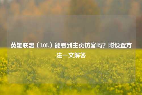 英雄联盟(LOL)能看到主页访客吗?附设置 一文解答