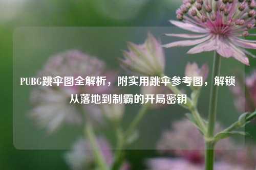PUBG跳伞图全解析,附实用跳伞参考图,解锁从落地到制霸的开局密钥