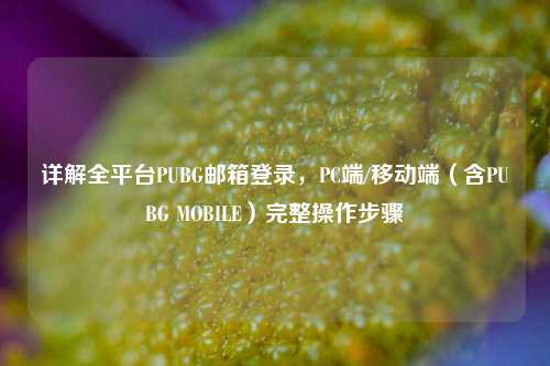 详解全平台PUBG邮箱登录,PC端/移动端(含PUBG MOBILE)完整操作步骤