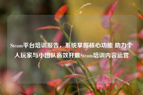 Steam平台培训报告,系统掌握核心功能 助力个人玩家与小团队高效开展Steam培训内容运营