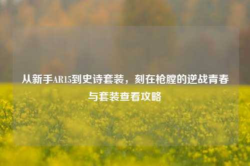 从新手AR15到史诗套装,刻在枪膛的逆战青春与套装查看攻略
