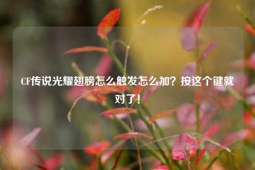 CF传说光耀翅膀怎么触发怎么加?按这个键就对了!