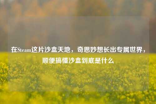在Steam这片沙盒天地,奇思妙想长出专属世界,顺便搞懂沙盒到底是什么