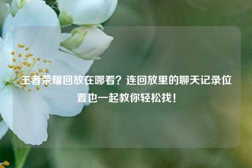 王者荣耀回放在哪看?连回放里的聊天记录位置也一起教你轻松找!
