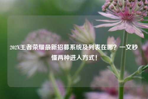 202X王者荣耀最新招募系统及列表在哪?一文秒懂两种进入方式!