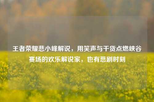 王者荣耀悲小峰解说,用笑声与干货点燃峡谷赛场的欢乐解说家,也有悲剧时刻
