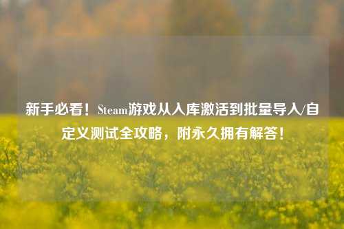 新手必看!Steam游戏从入库激活到批量导入/自定义测试全攻略,附永久拥有解答!