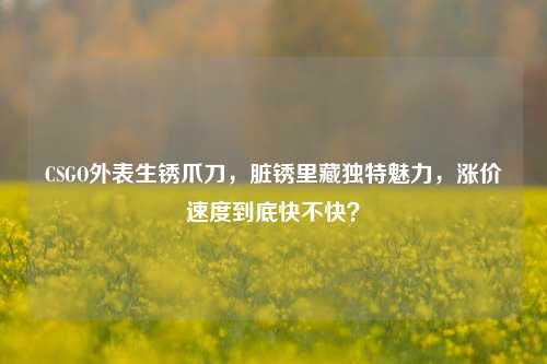CSGO外表生锈爪刀,脏锈里***特魅力,涨价速度到底快不快?