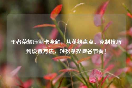 王者荣耀压制卡全解,从英雄盘点、克制技巧到设置 ,轻松拿捏峡谷节奏!