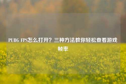 PUBG FPS怎么打开?三种 教你轻松查看游戏帧率