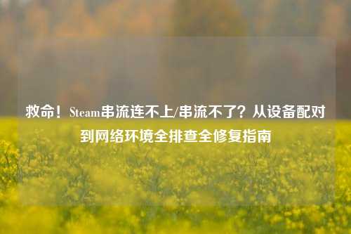 救命!Steam串流连不上/串流不了?从设备配对到 环境全排查全修复指南