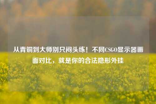 从青铜到***别只闷头练!不同CSGO显示器画面对比,就是你的合法隐形外挂